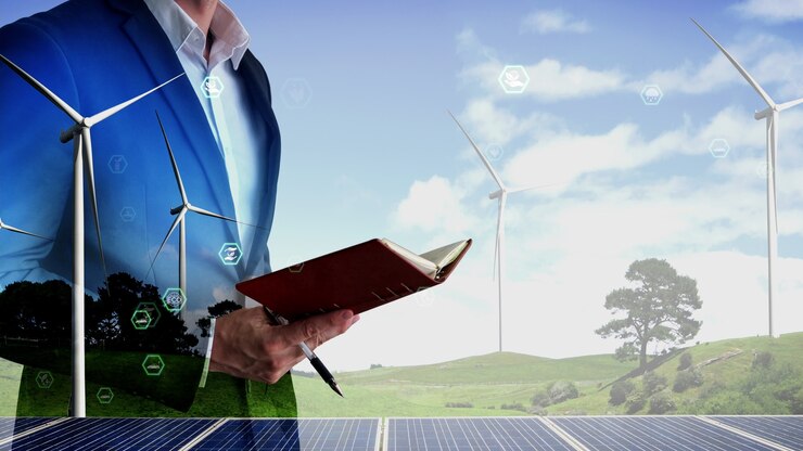 Shaping the Renewable Energy Economy